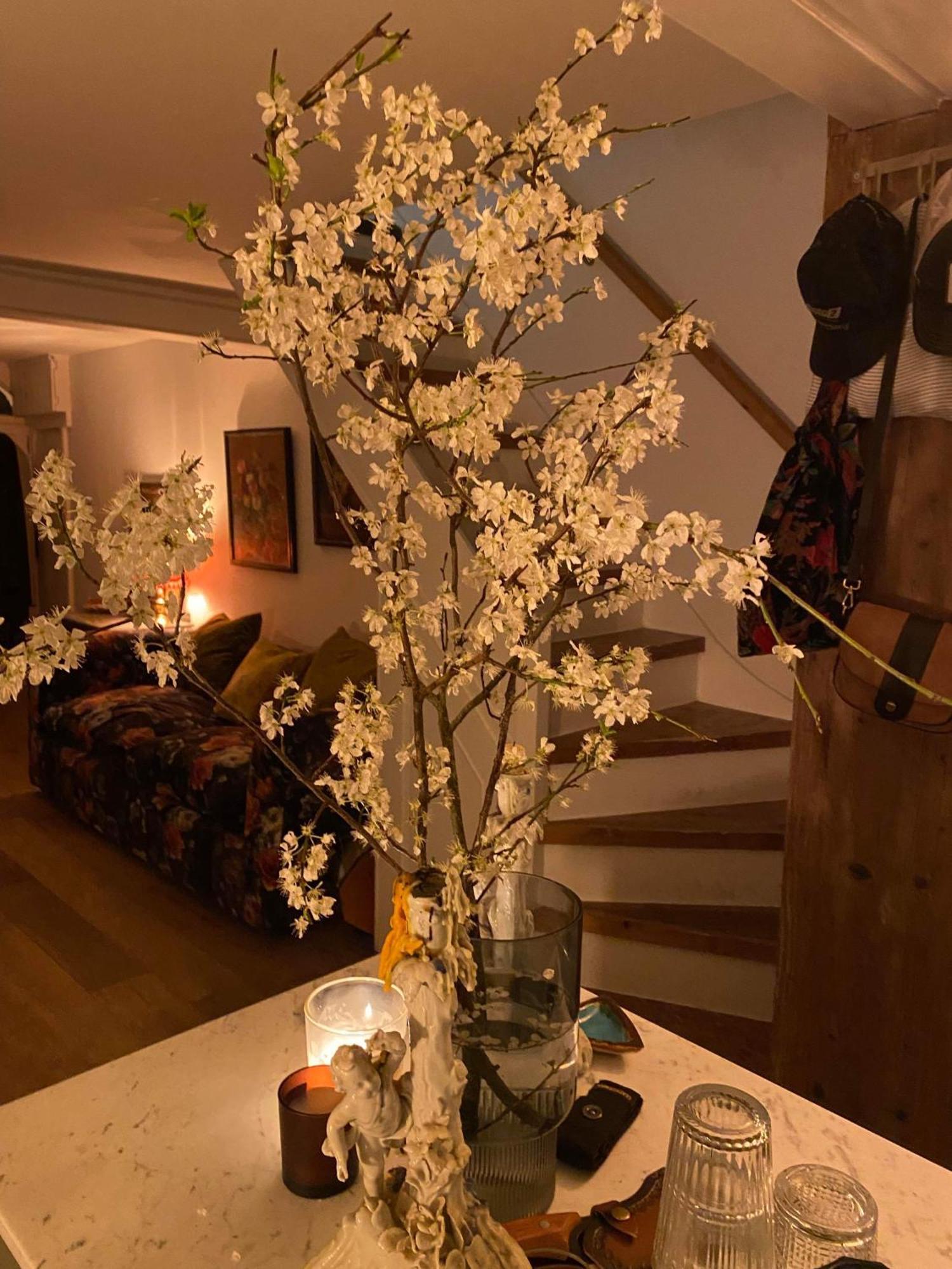 Stylish & Cosy Boutique Townhouse 1 Bedroom, 1 Sofa Bed - Sleeps 4 Christchurch  Bagian luar foto